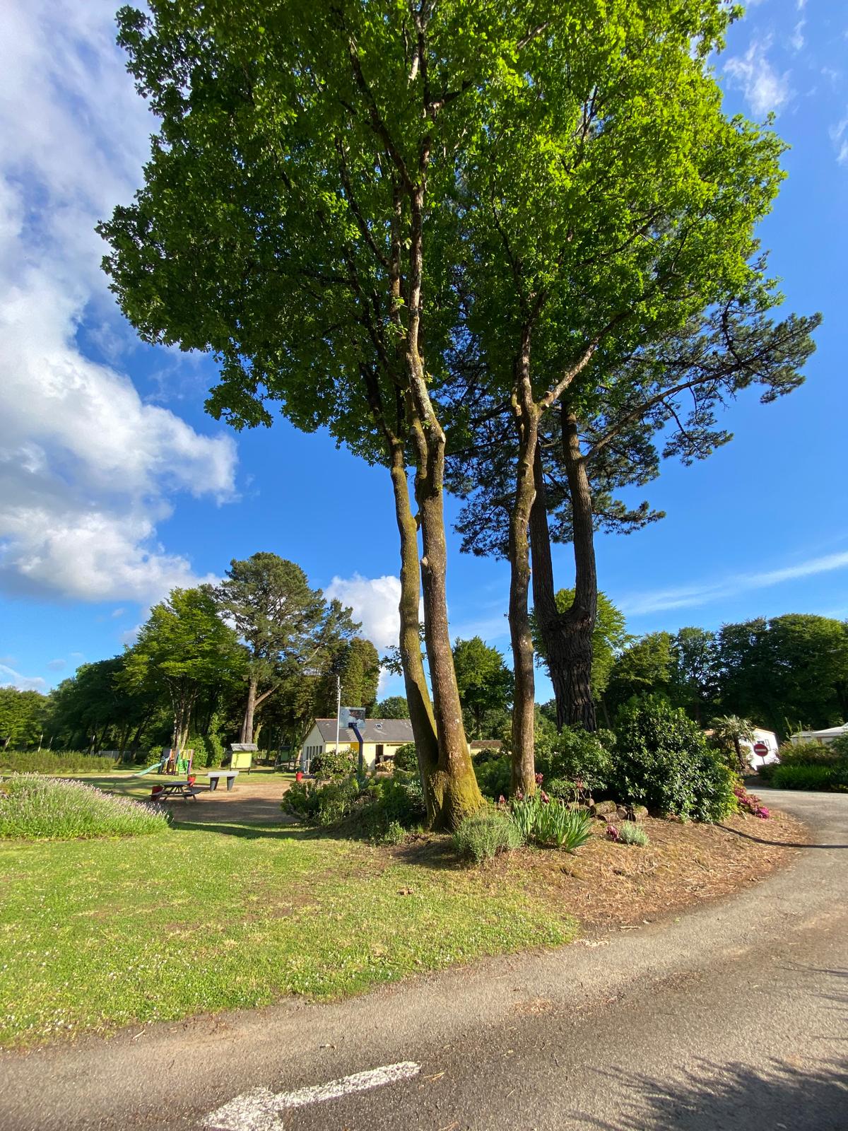 Camping Les Myrtilles vu depuis la route, au cœur du Finistère